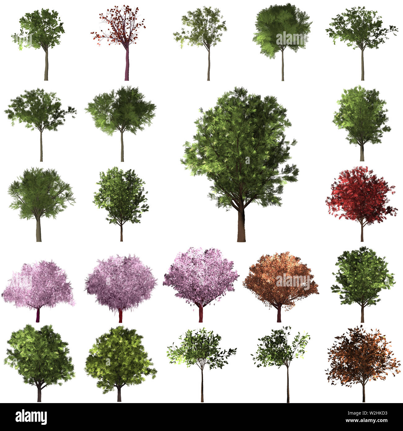 Grüne Wald Baum Hintergrund. set Abbildung Baum. Hintergrund weiß zu isolieren. Natur und Gärten Design. Stockfoto
