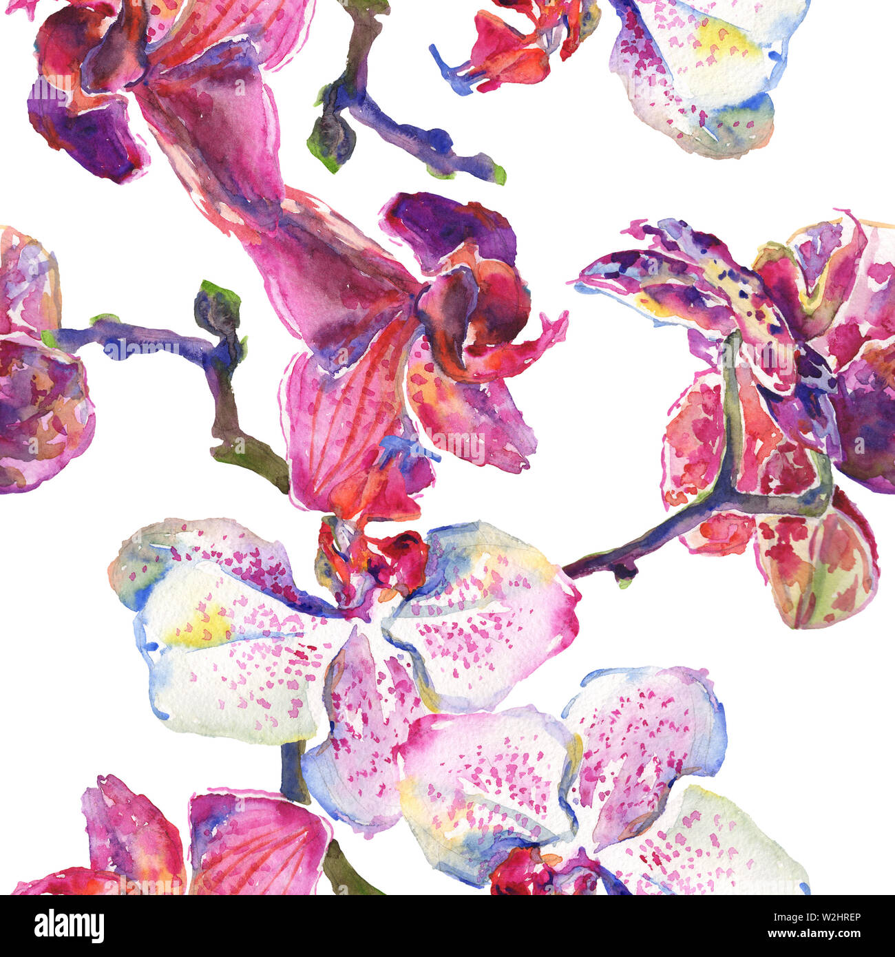 Orchidee Blumen botanischen Blumen. Wild Federblatt wildflower. Aquarell Abbildung. Aquarell Zeichnung mode Aquarelle. Nahtlose Hintergrund Stockfoto