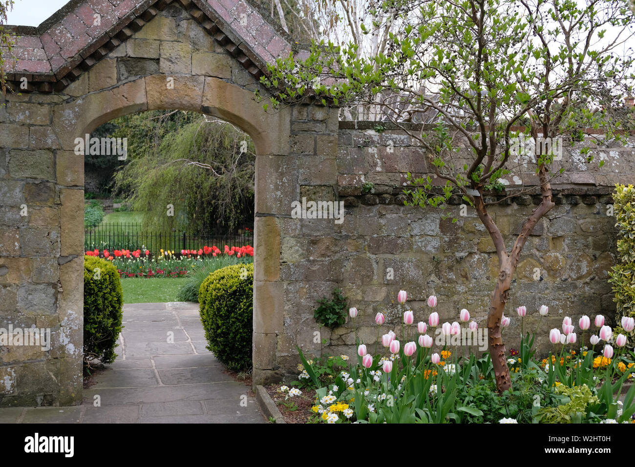 Southover Grange Gardens Lewes Frühling Tulpen Stockfoto