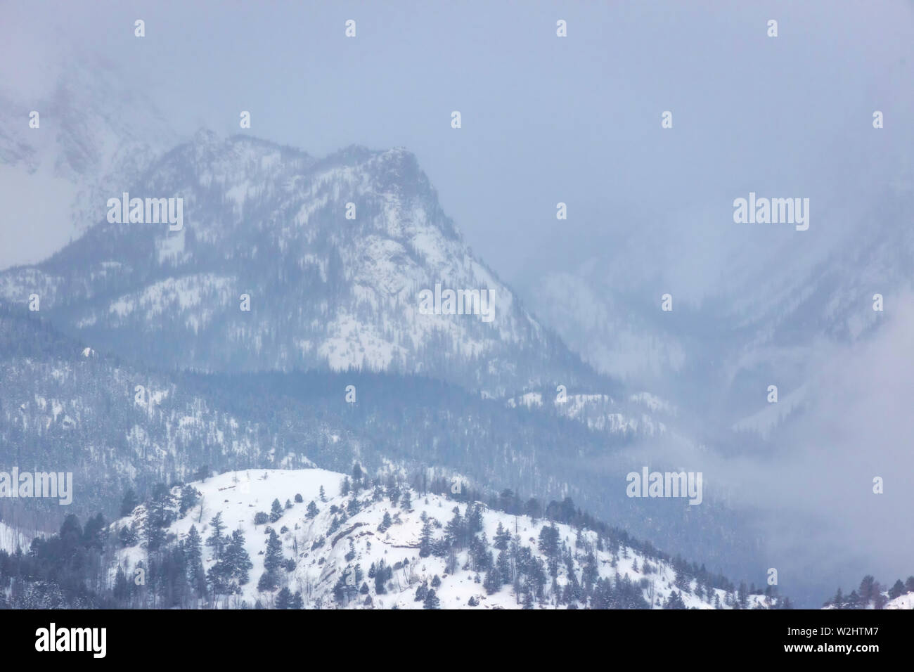 Schnee Sturm Rollen über Berggipfel im Rocky Mountain National Park an einem kalten Wintertag Stockfoto