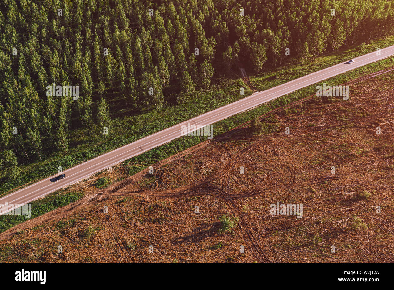 Luftaufnahme der Straße zwischen Cottonwood Wald und gerodete Fläche aus drohne pov im Sommer susnet Stockfoto