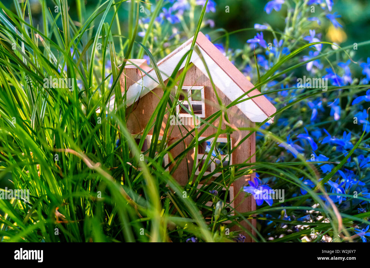 Holzhaus steht zwischen Blumen und Gräsern Stockfoto