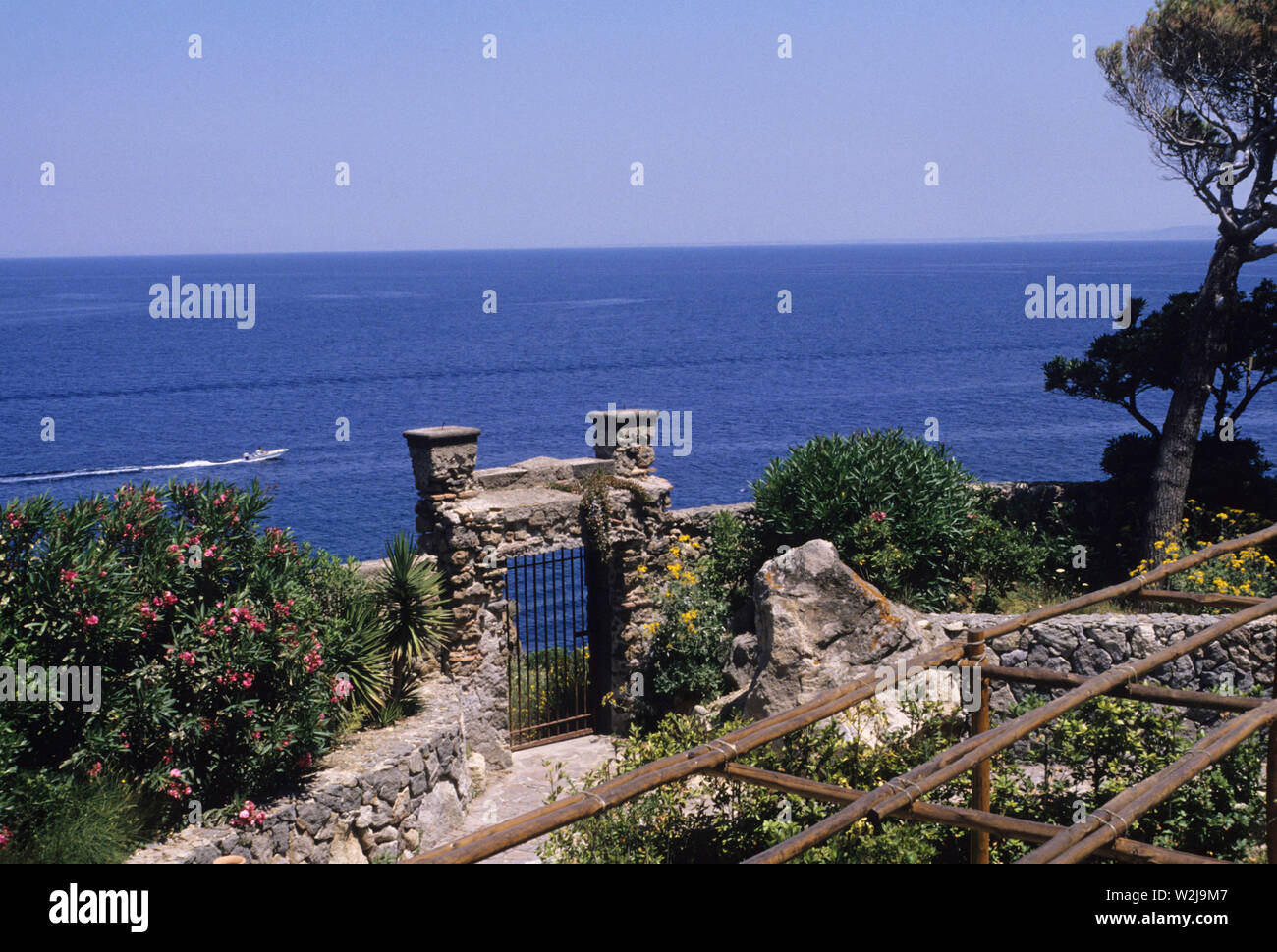 Insel Ischia, Golf von Neapel, Kampanien, Italien Stockfoto