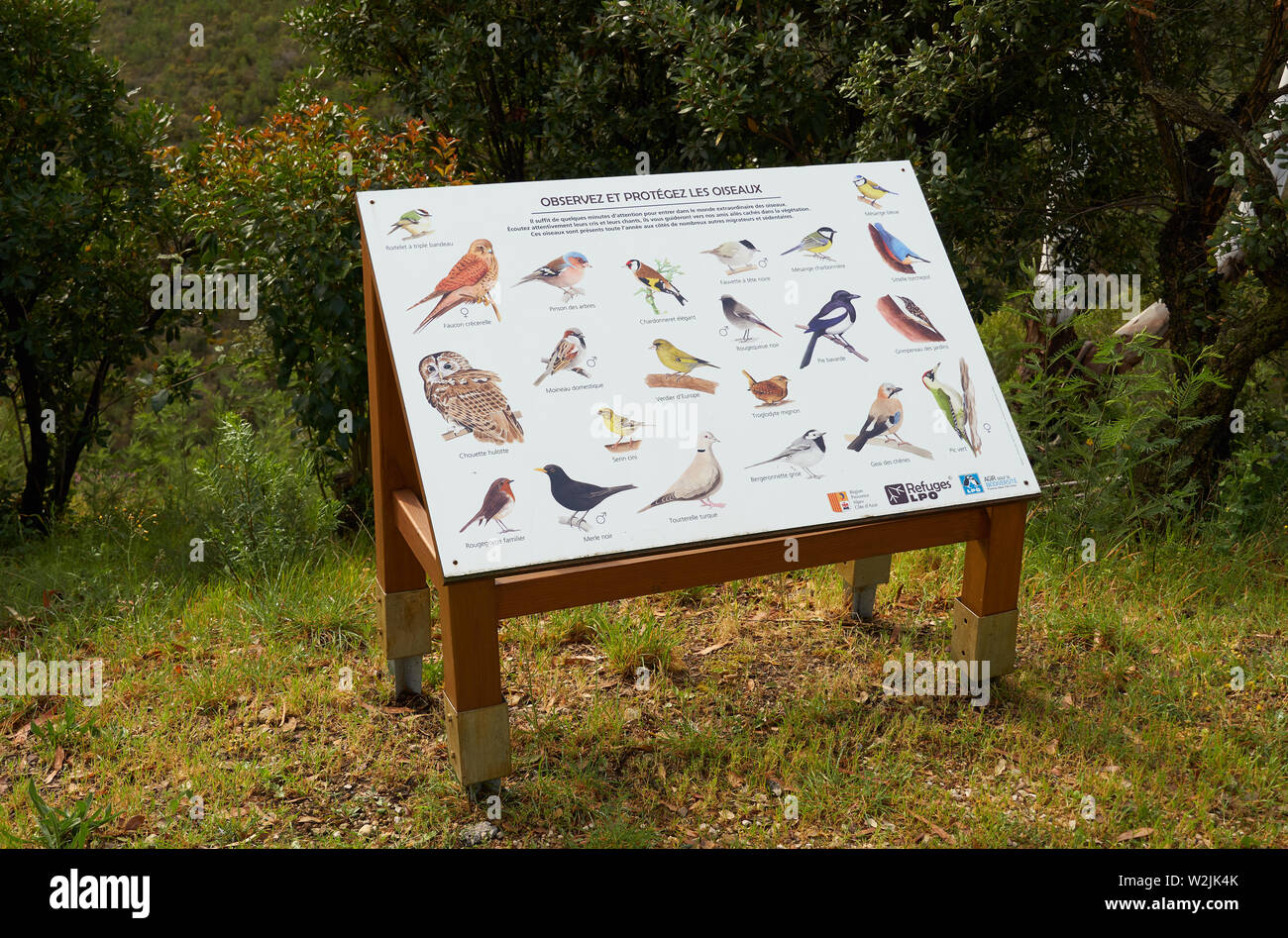 Mandelieu-La Napoule, Frankreich - 04 April, 2019: Bilder von Vögeln mit ihren Namen, die in Domaine de Maure-Vieil der Französischen Riviera leben. Informationen b Stockfoto