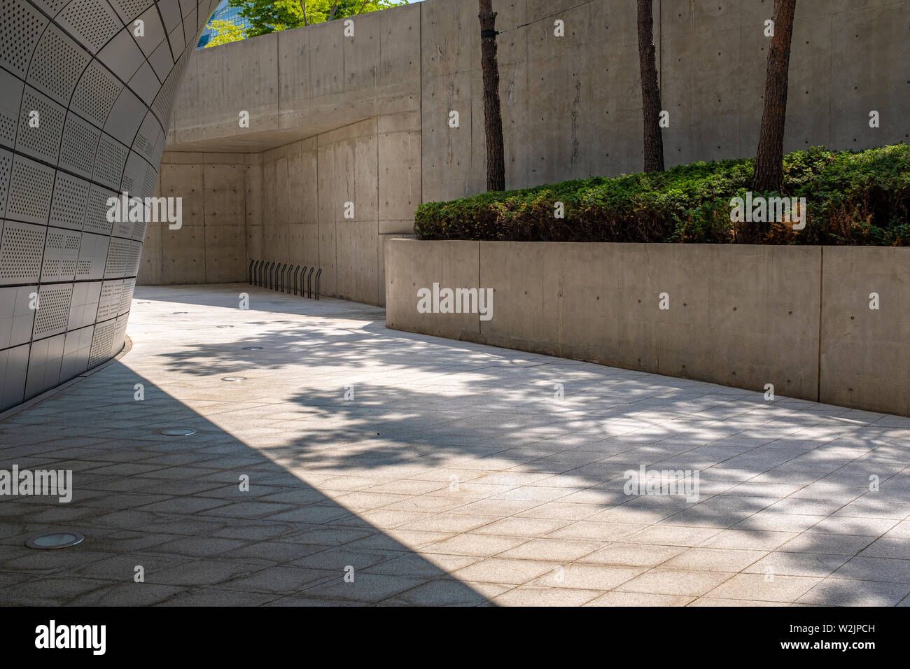 Baum Schatten am Dongdaemun design Plaza, Seoul, Südkorea Stockfoto