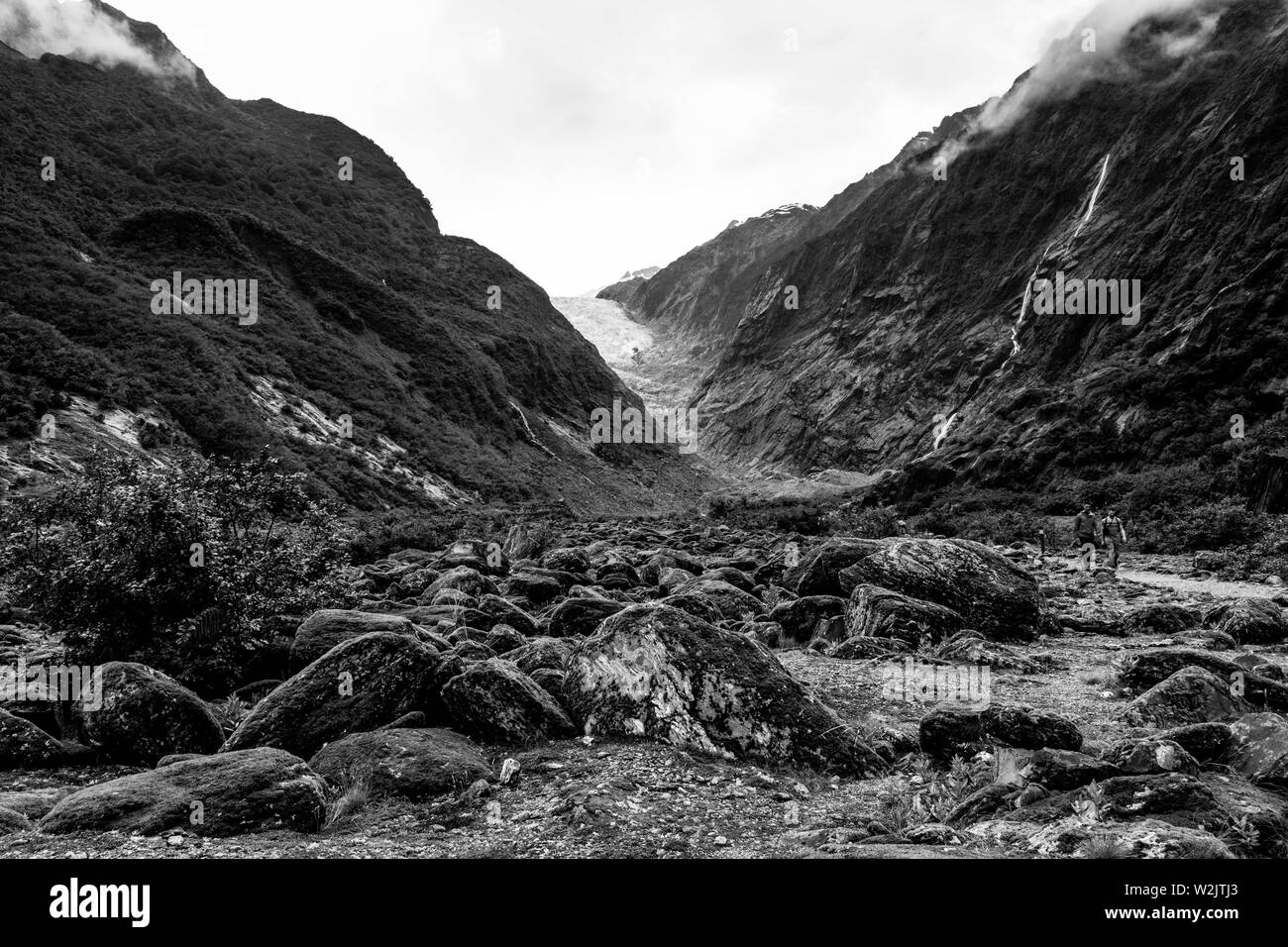 Wanderer auf dem Tal gehen, Franz Josef Glacier, Südinsel, Neuseeland Stockfoto