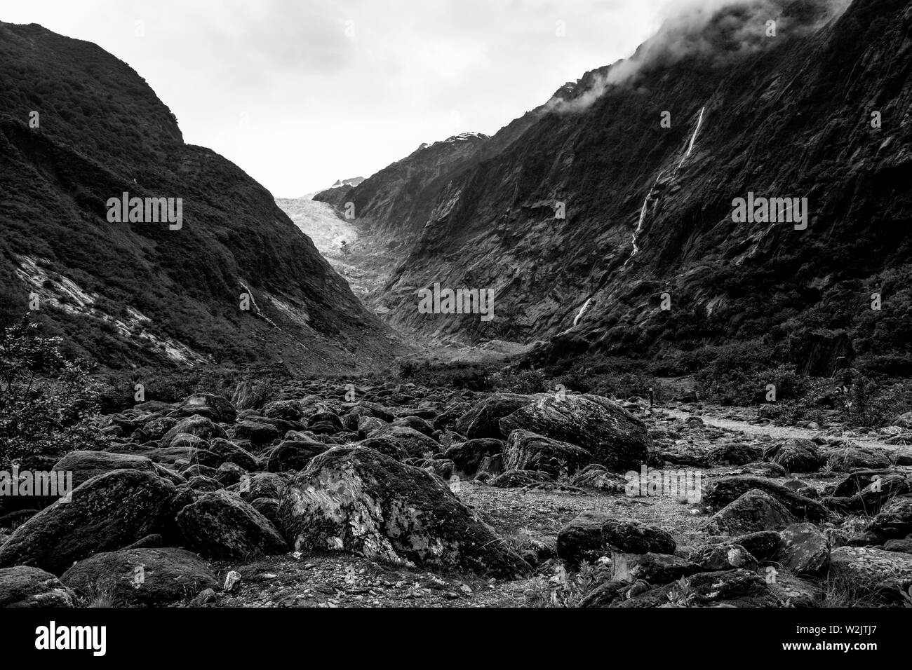 Der Talboden, Franz Josef Glacier, Südinsel, Neuseeland Stockfoto