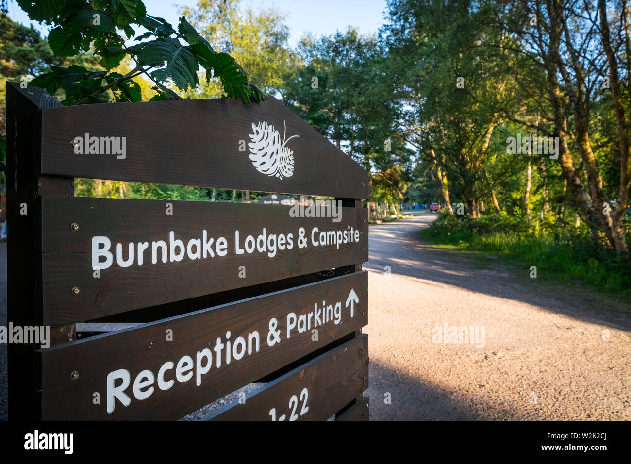 Burnbake Campingplatz in Dorset, Großbritannien Stockfoto