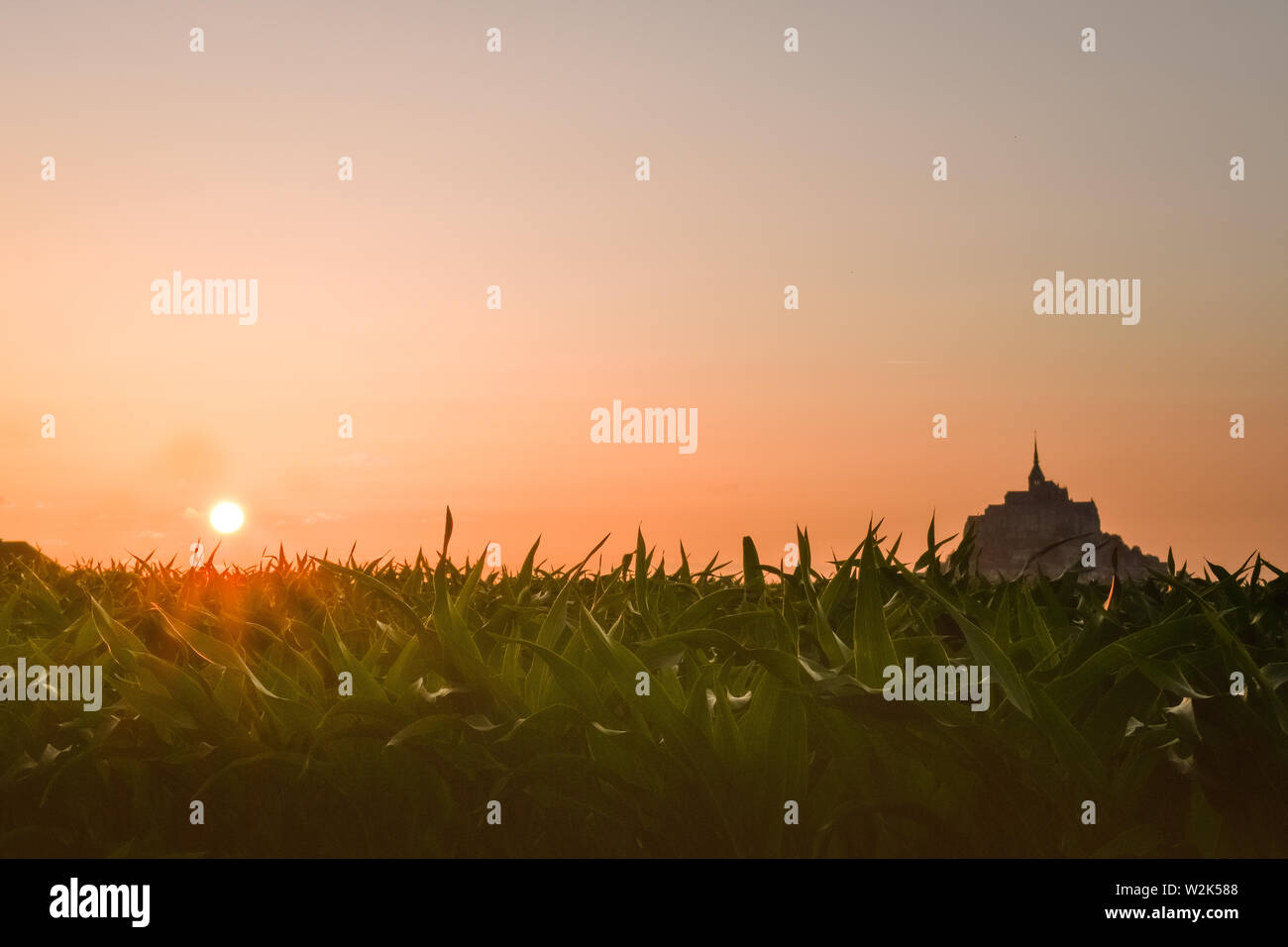 Silhouette bei Sonnenuntergang vom Ackerland von Mont Saint Michel, Frankreich Stockfoto