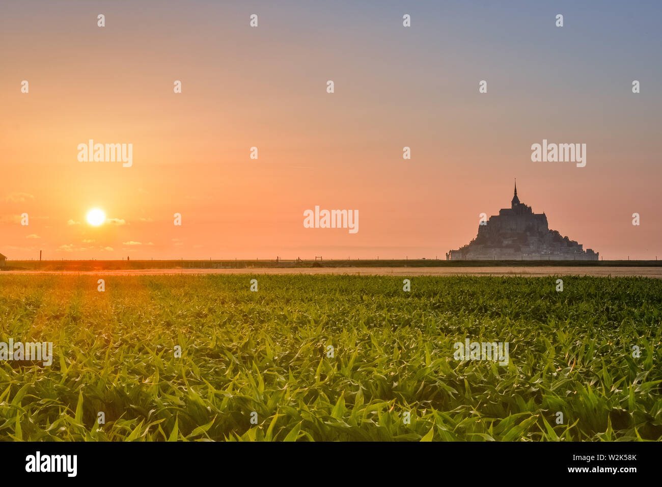 Silhouette bei Sonnenuntergang vom Ackerland von Mont Saint Michel, Frankreich Stockfoto