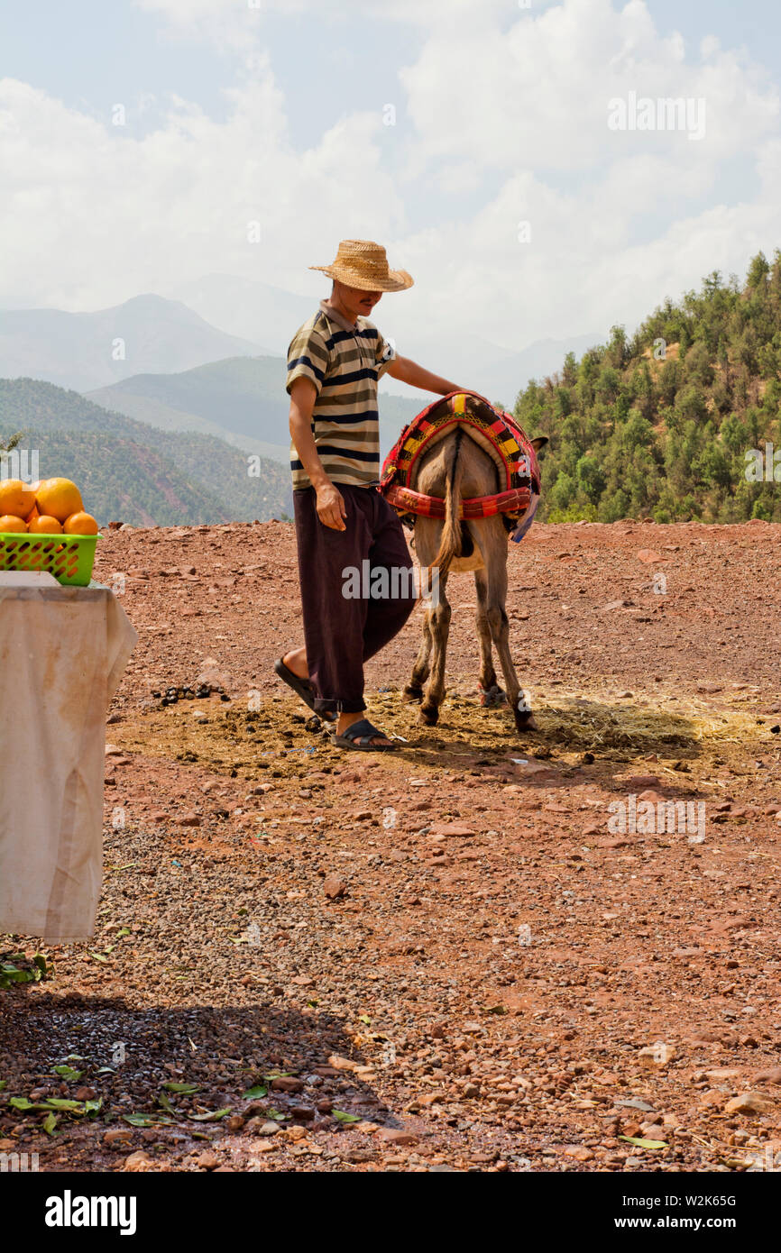 Eselreiten im Atlasgebirge von Marokko Stockfoto