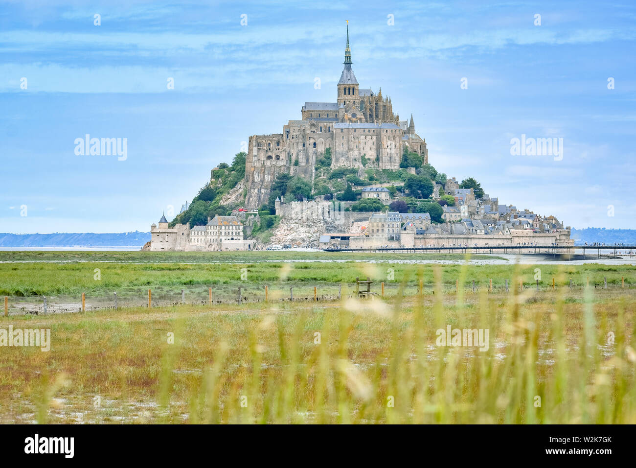 Detail von Gras im Vordergrund und Mont Saint Michel, Frankreich, im Hintergrund Stockfoto