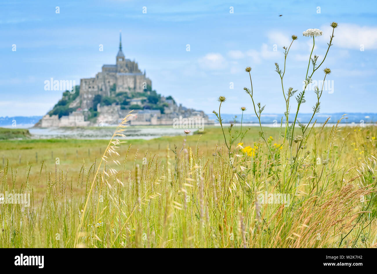 Detail von Gras im Vordergrund und Mont Saint Michel, Frankreich, im Hintergrund Stockfoto