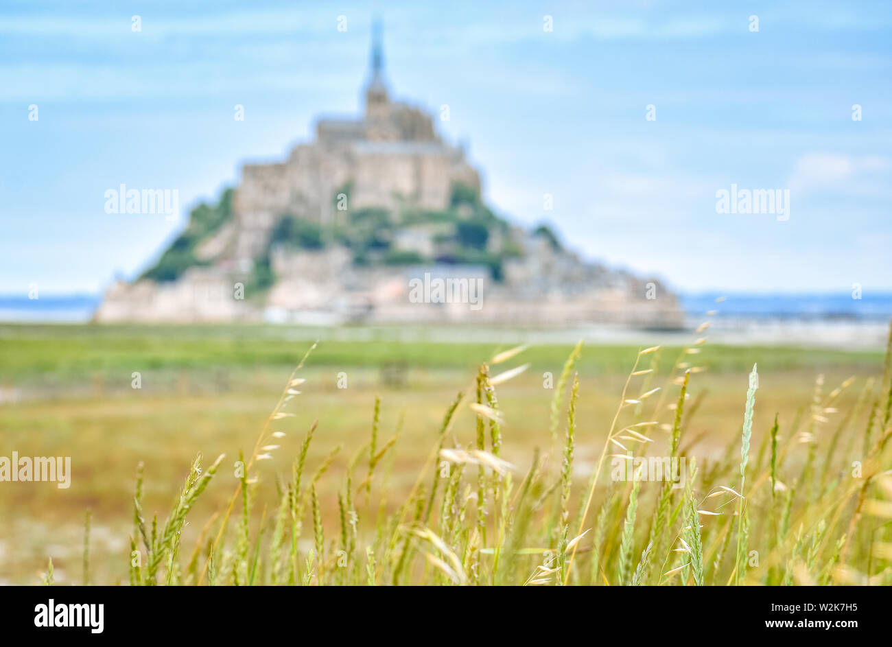 Detail von Gras im Vordergrund, mit dem Defokussierten Silhouette von Mont Saint Michel, Frankreich, im Hintergrund Stockfoto