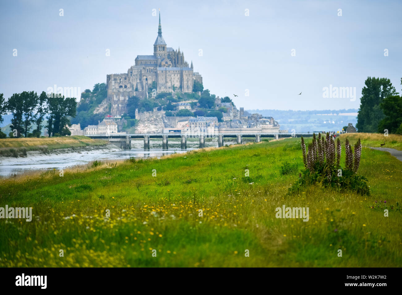 Kanal macht seinen Weg zwischen den Feldern und bis zum Mont Saint Michel, Saint Michel, Frankreich FranceMont Ackerland Stockfoto