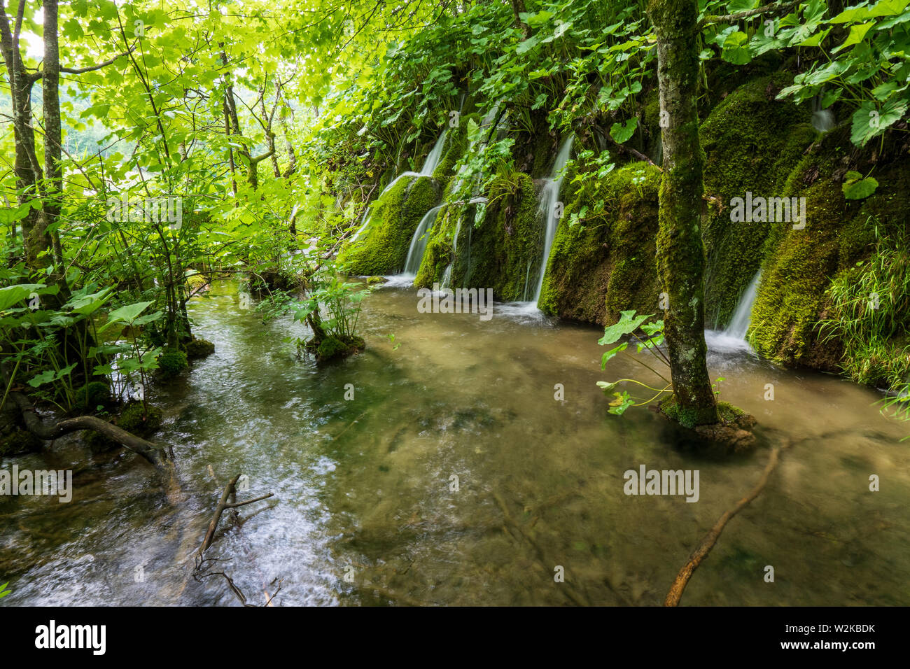 Kleine Kaskaden von frischem Wasser, ausgegossen bemoosten Felsen an der Nationalpark Plitvicer Seen in Kroatien Stockfoto