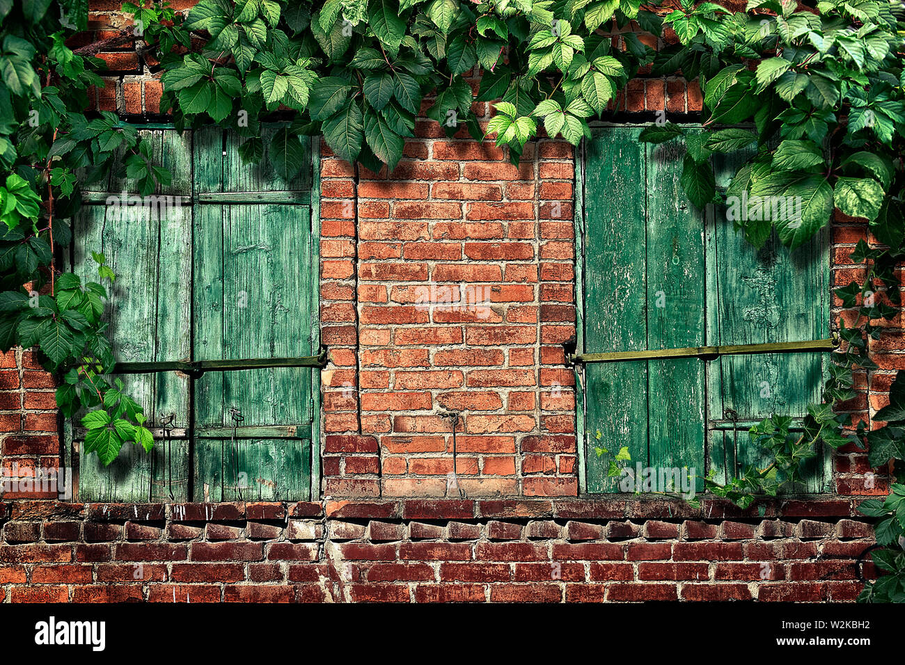 Kletterpflanze auf der alten Mauer mit Windows Stockfoto