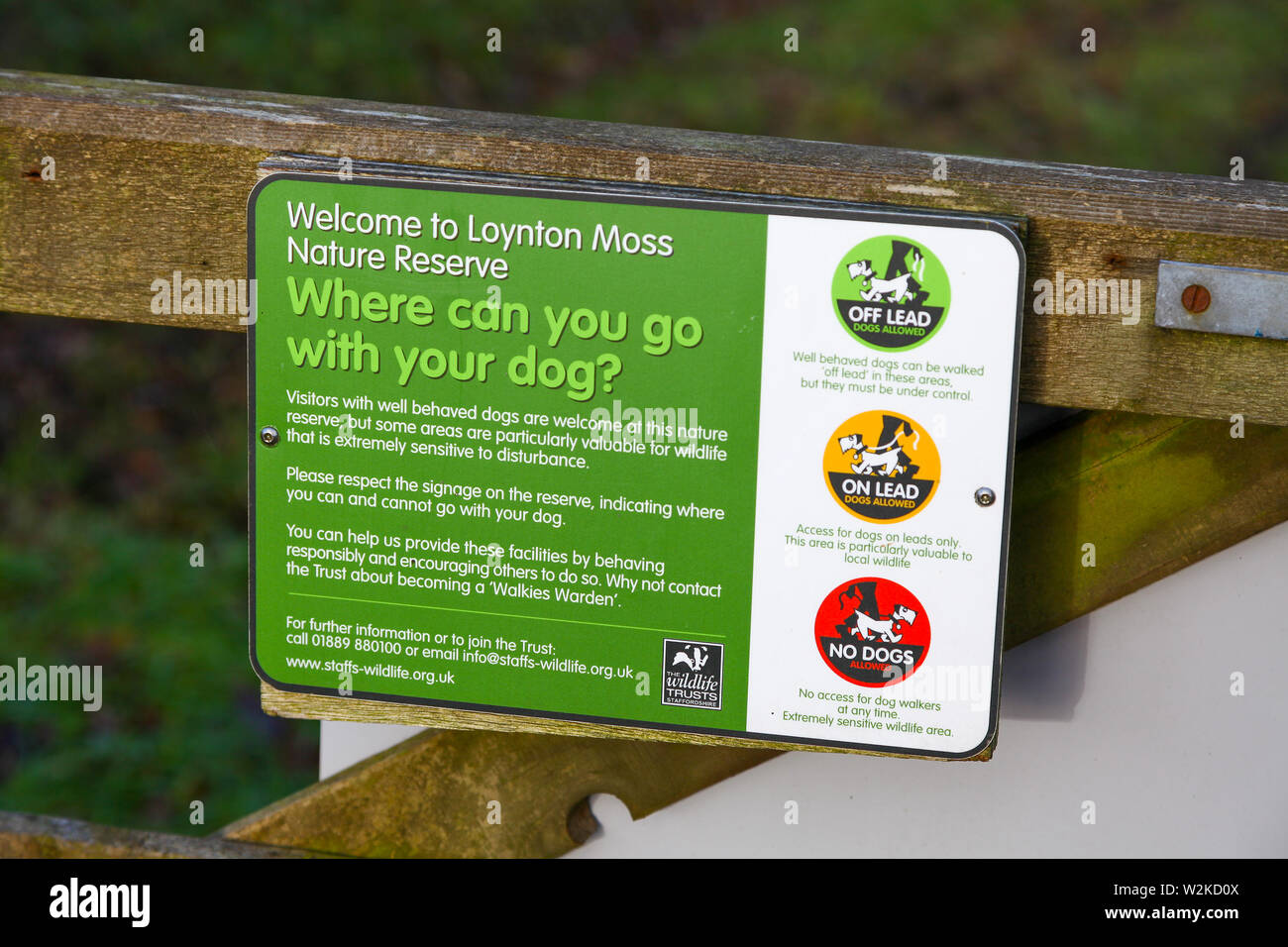 Ein Zeichen, dass Hundebesitzer ihre Hunde an Loynton Moos laufen kann, ist ein Naturschutzgebiet in Loynton, Staffordshire, England, UK gelegen Stockfoto
