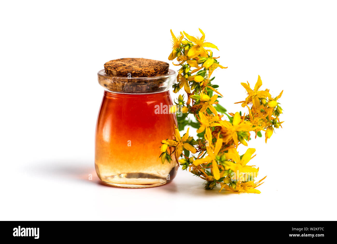 Calendula Pot marigold Pflanzliche ätherische Öl und Blumen isoliert auf weißem Stockfoto