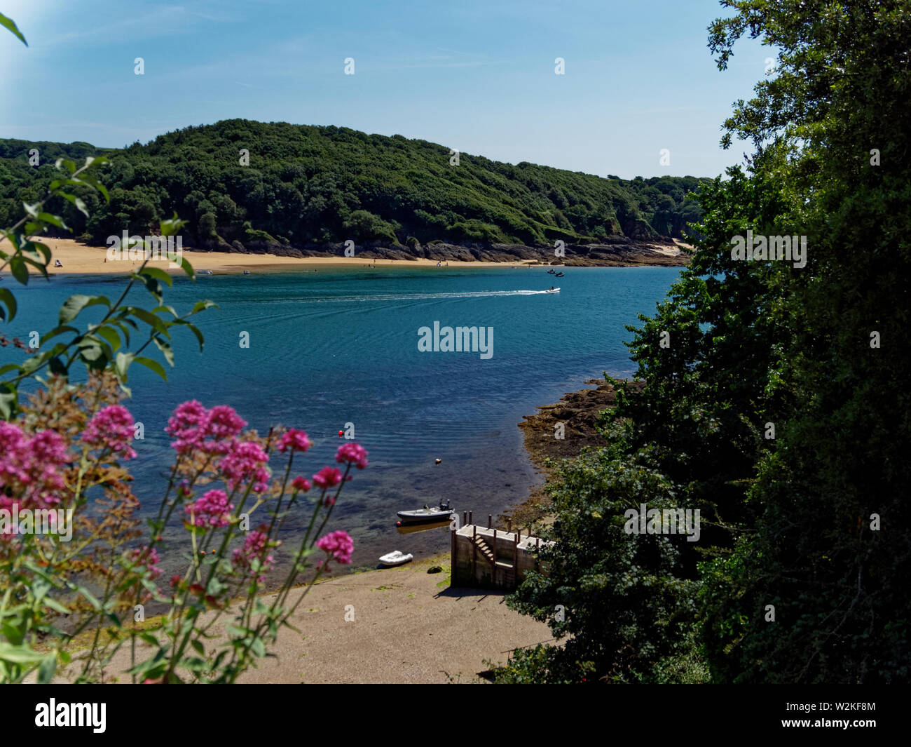 Salcombe, South Devon, Großbritannien. Großbritannien Stockfoto