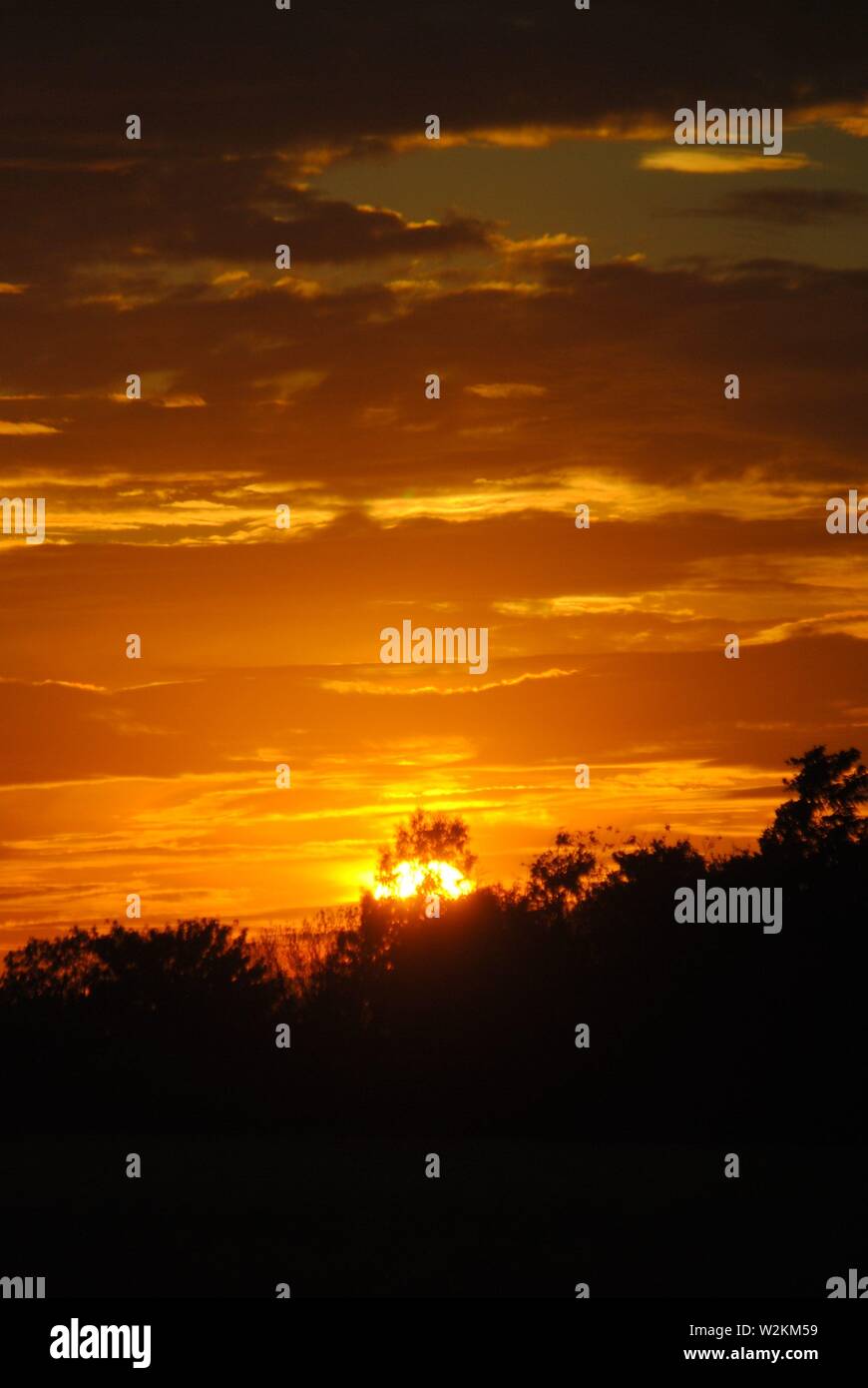 Sonnenuntergangssequenz goldener Glanz mit vielen Wolken mit Baumsilhouetten Stockfoto