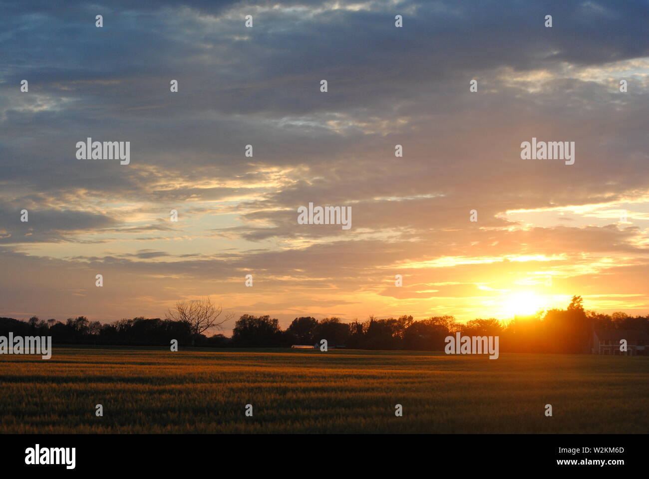 Sonnenuntergang über die Felder von Suffolk, Sommer orange-gelbe Sonne mit dunklen Wolken Stockfoto