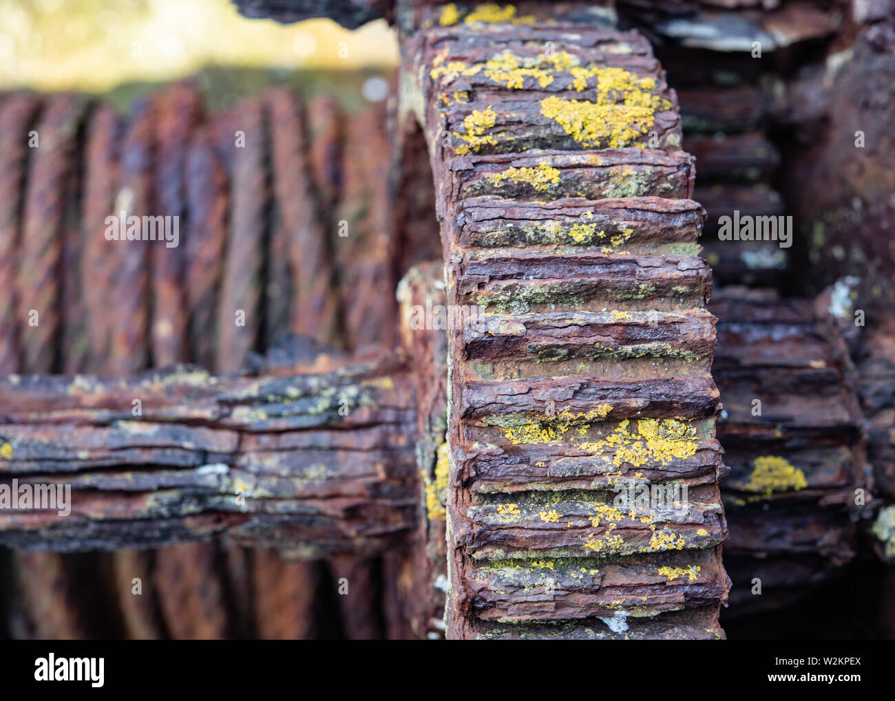 Alte rosten Mooring winch Rädchen in Moos bedeckt Stockfoto
