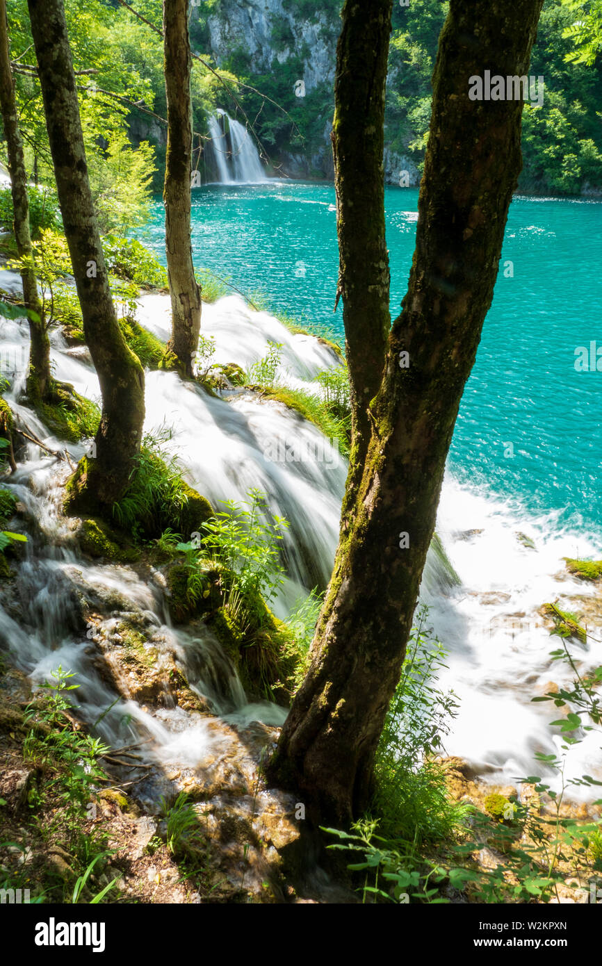 Rauschende Wasserfälle, die natürliche Hindernisse in den glasklaren und azurblauen See Milanovac im Nationalpark Plitvicer Seen, Kroatien Stockfoto