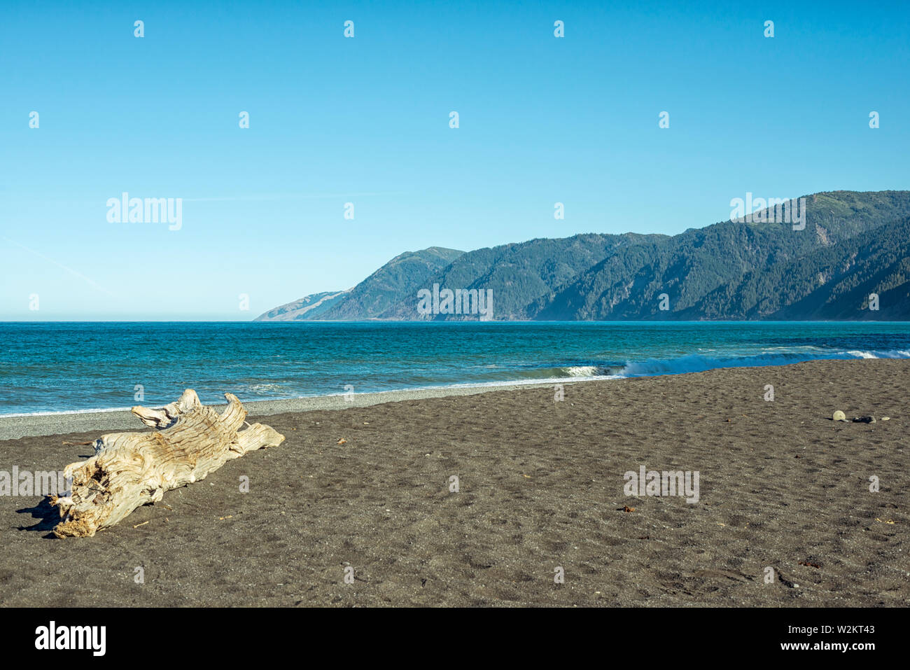 Black Sand Beach Shelter Cove, Kalifornien, USA. Stockfoto