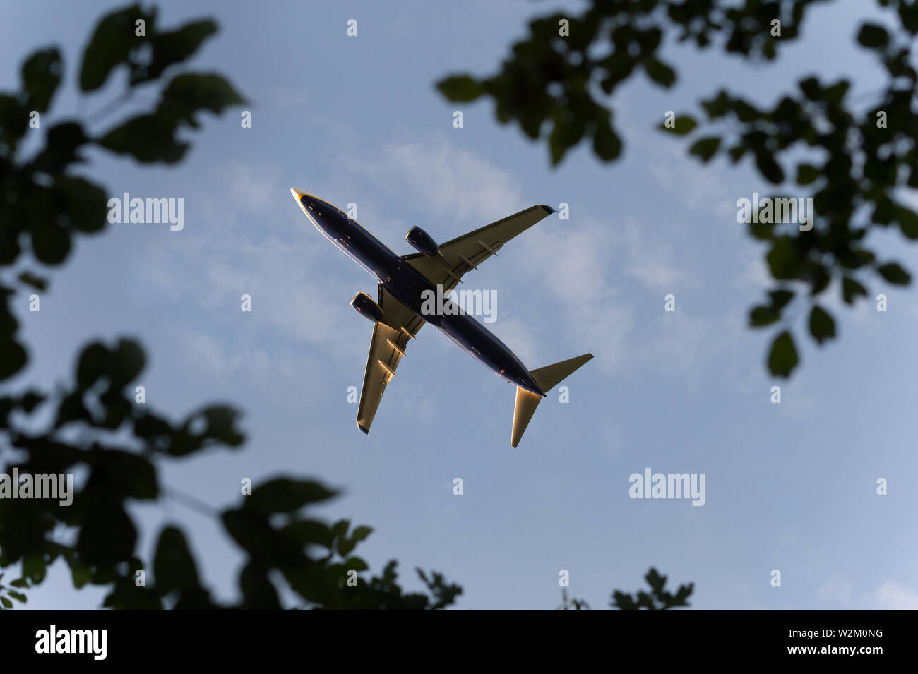 Eine Ryanair Boeing 737-800 Linienflugzeug wird gesehen, fliegen hoch über den Bäumen in der Nähe von Manchester Airport, UK. Stockfoto