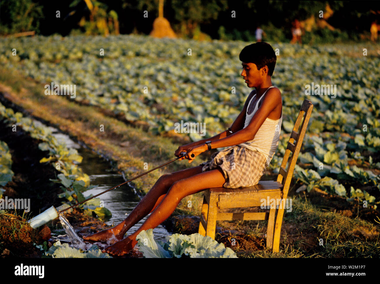 Die tritt Pumpe hat Popularität in ländlichen Landwirtschaft gewonnen. Es können Landwirte weg von Teichen und Flüssen zu pflanzen, und ist eine umweltfreundliche Form der Bewässerung. Ishurdi. Bangladesch. Stockfoto