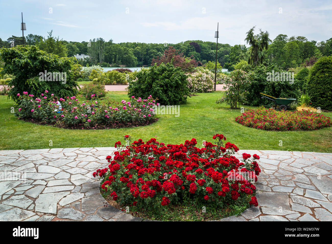 Parc de la Tête d'Or Park oder der Goldenen Kopf, eine große städtische Park, Lyon, Frankreich Stockfoto