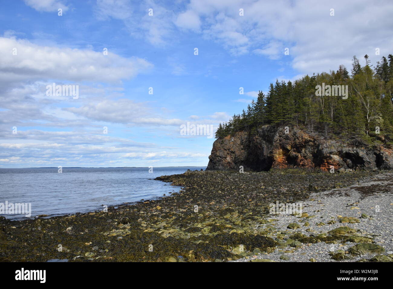 Felsen am Strand in Owl's Head Maine Stockfoto