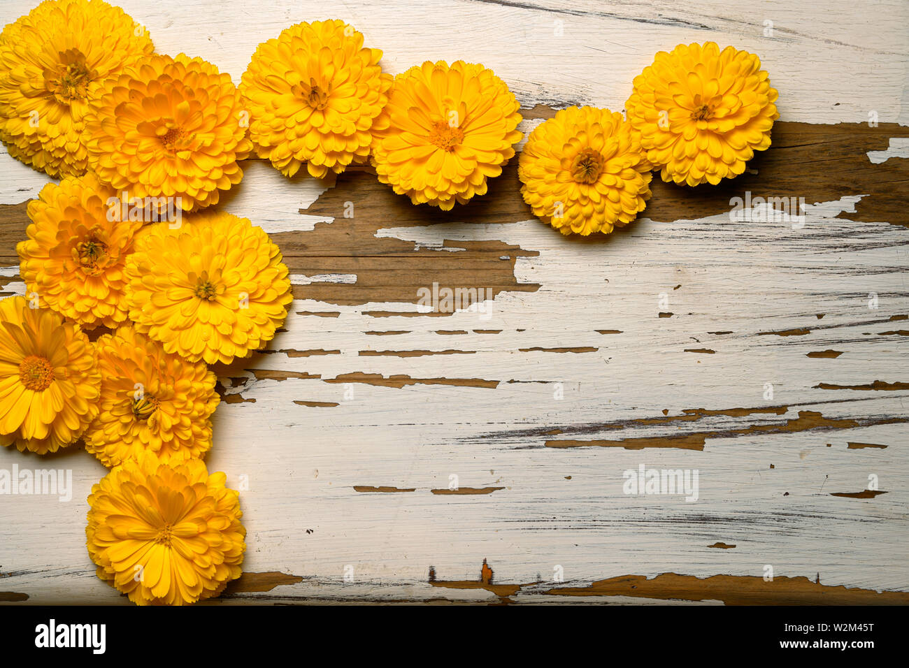 Design offset Blumen auf Peeling schmerzen Hintergrund Stockfoto