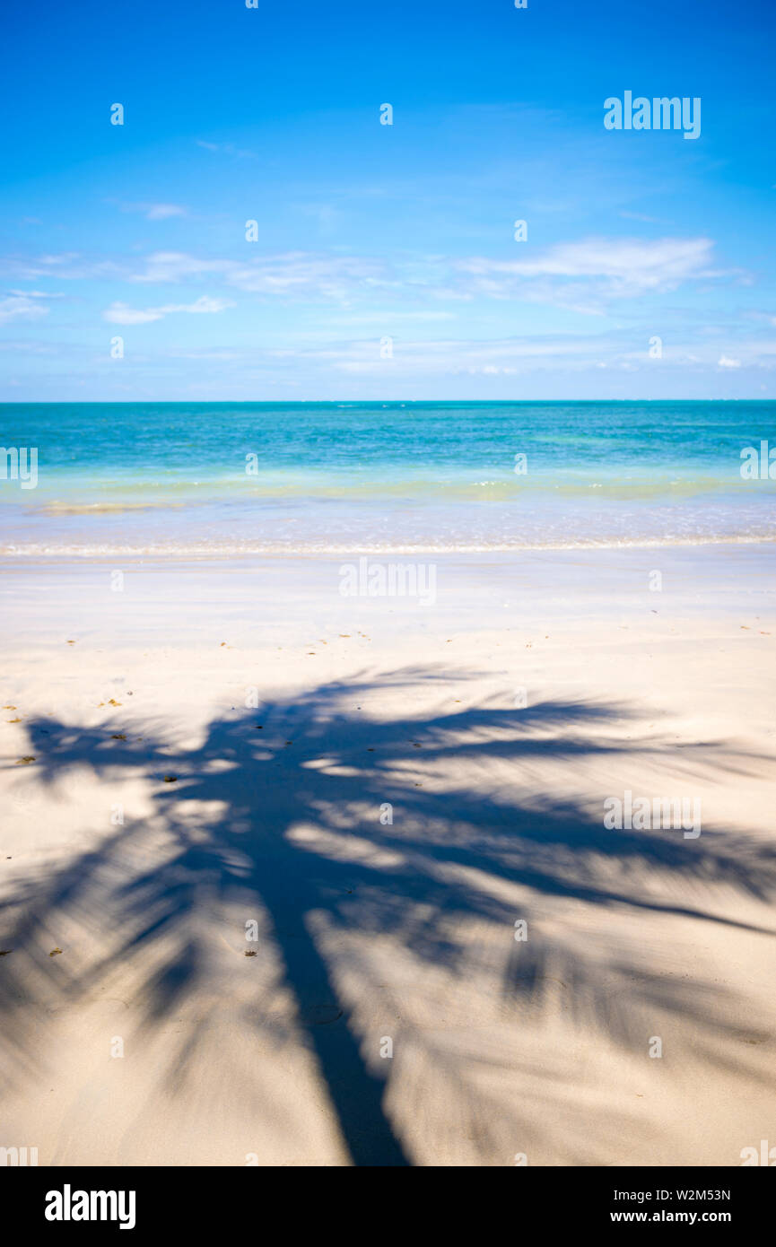 Palmen Casting Shadows am Ufer eines tropischen brasilianischen Insel Strand in Bahia, Brasilien Stockfoto