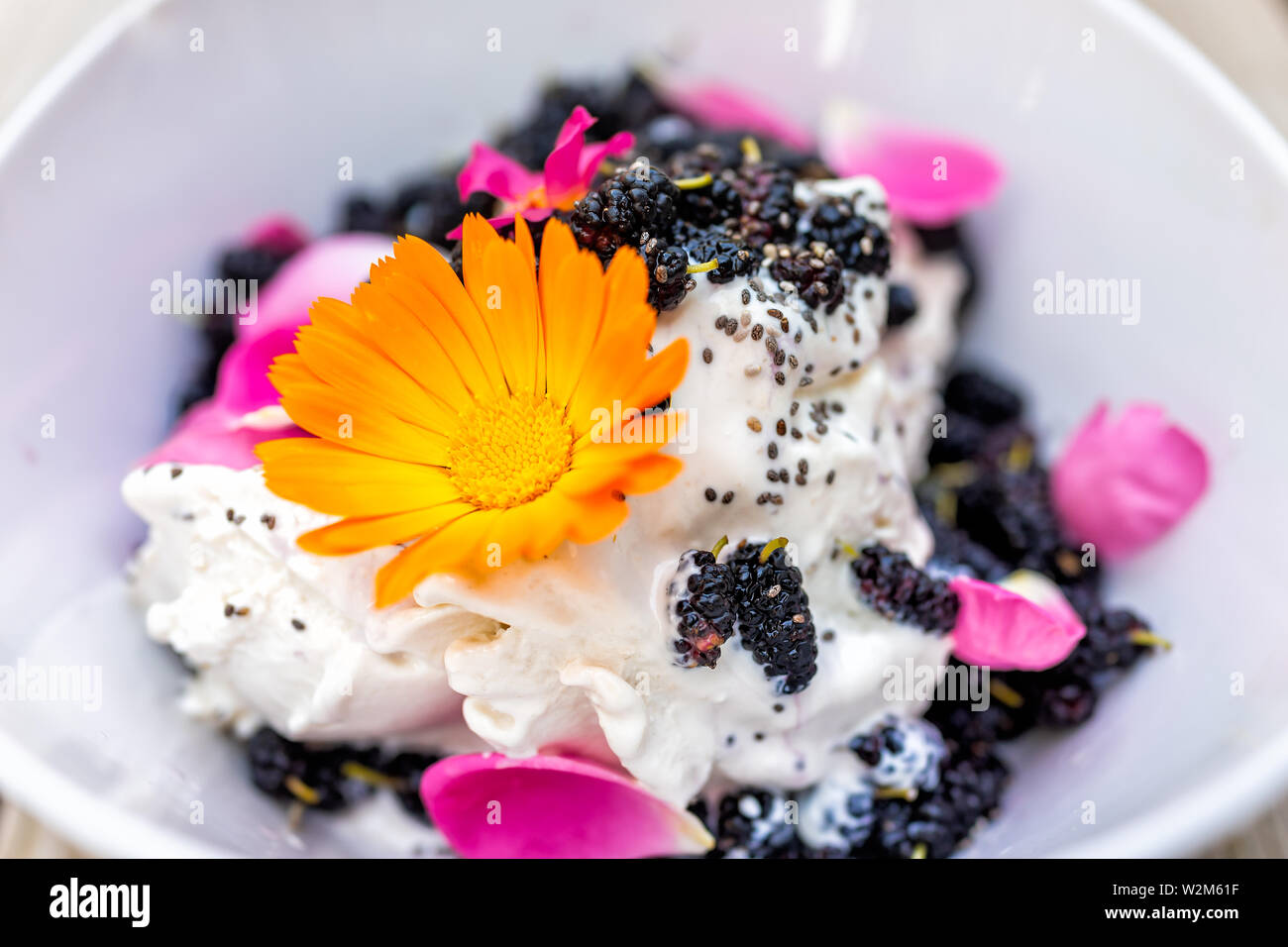 Makro Nahaufnahme des gelben Calendula flower Eis garniert mit frischen schwarzen Maulbeeren Beeren und Chia Samen mit rosa Rosenblättern Stockfoto
