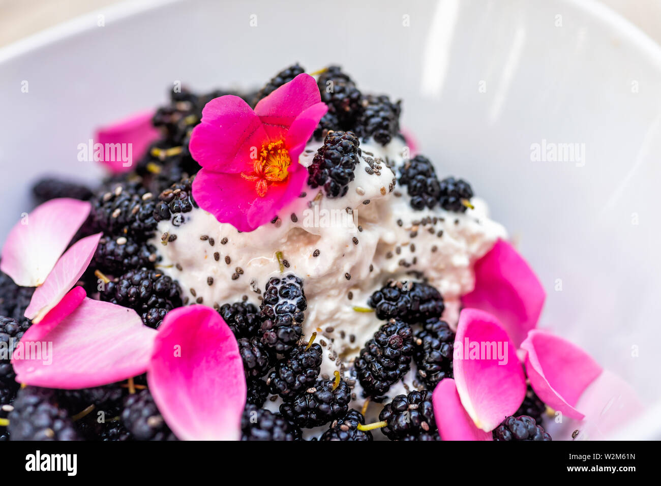 Makro Nahaufnahme des Eis garniert mit frischen schwarzen Maulbeeren Beeren und Chia Samen mit rosa Rosenblüten und roten Portulak Blume Stockfoto