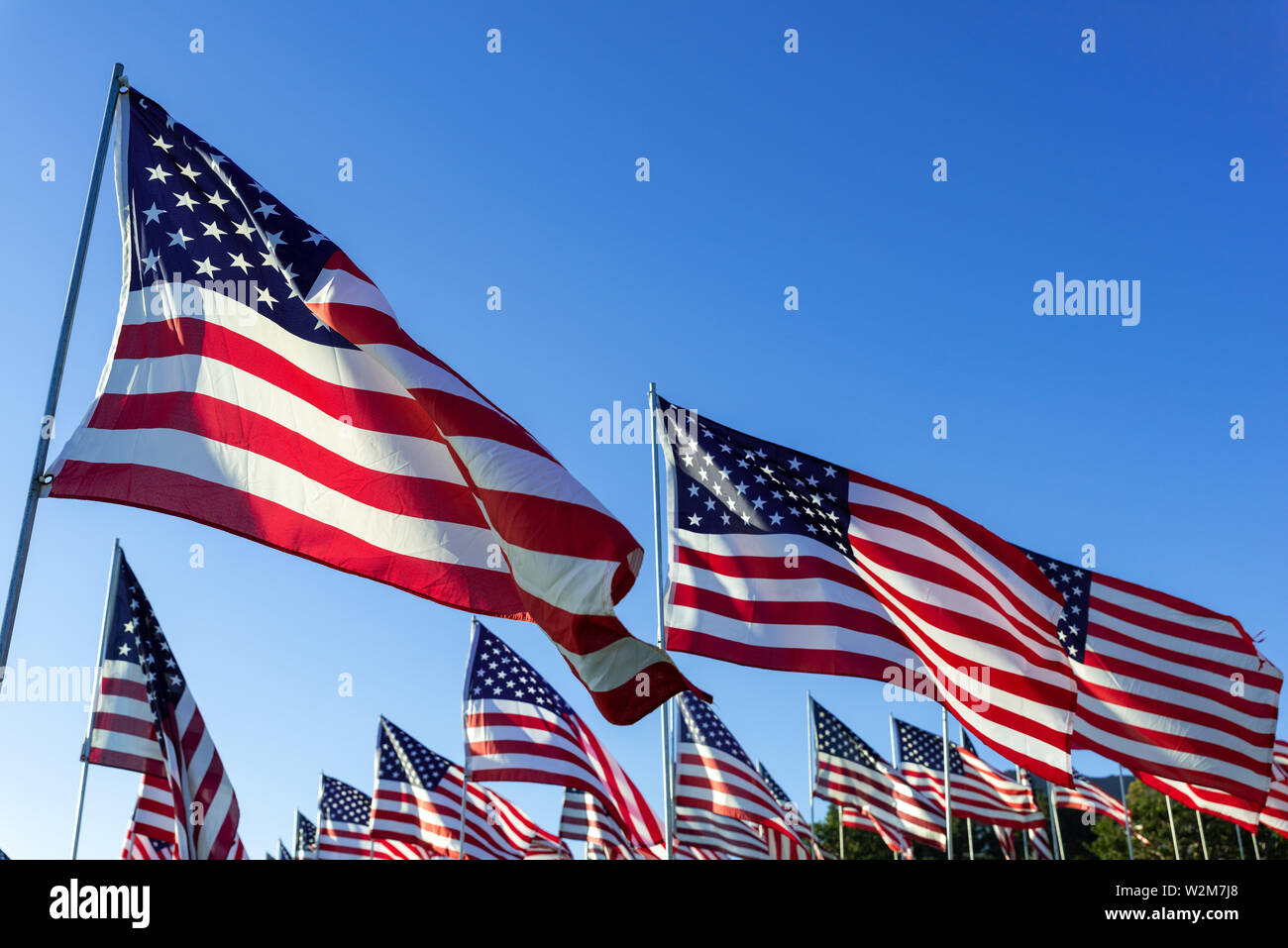 Eine große Gruppe von amerikanische Flaggen. Veteranen oder Memorial Day Anzeige Stockfoto