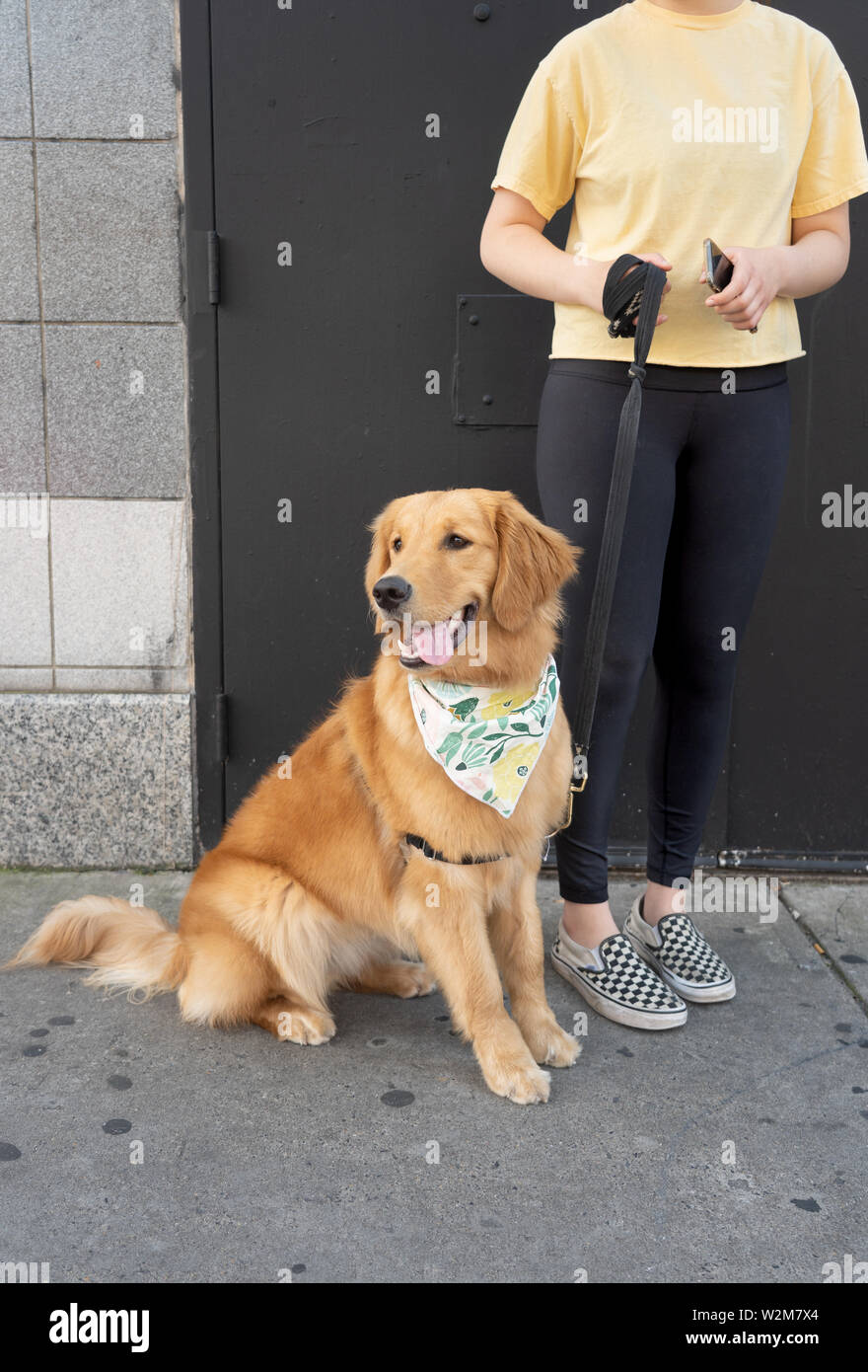 Ein Eigentümer und ihre Golden Labrador Hund posieren für ein Portrait auf South Street in Philadelphia. Stockfoto