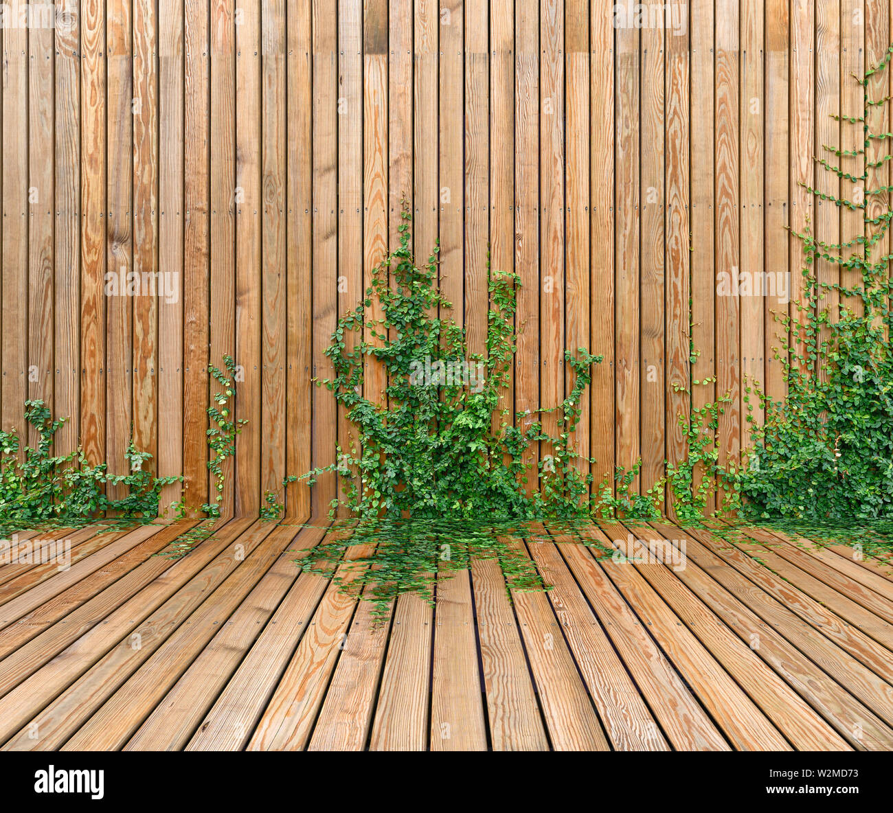 Hlzerne wand Panel mit Efeu pflanze Hintergrund Stockfotografie - Alamy