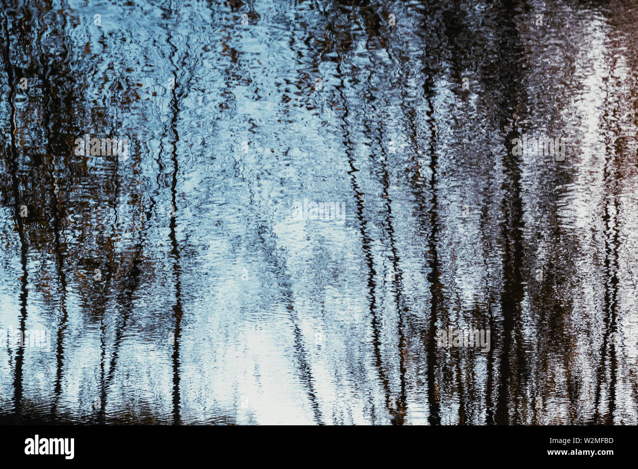 Reflexion der Birken im blauen Wasser Stockfoto