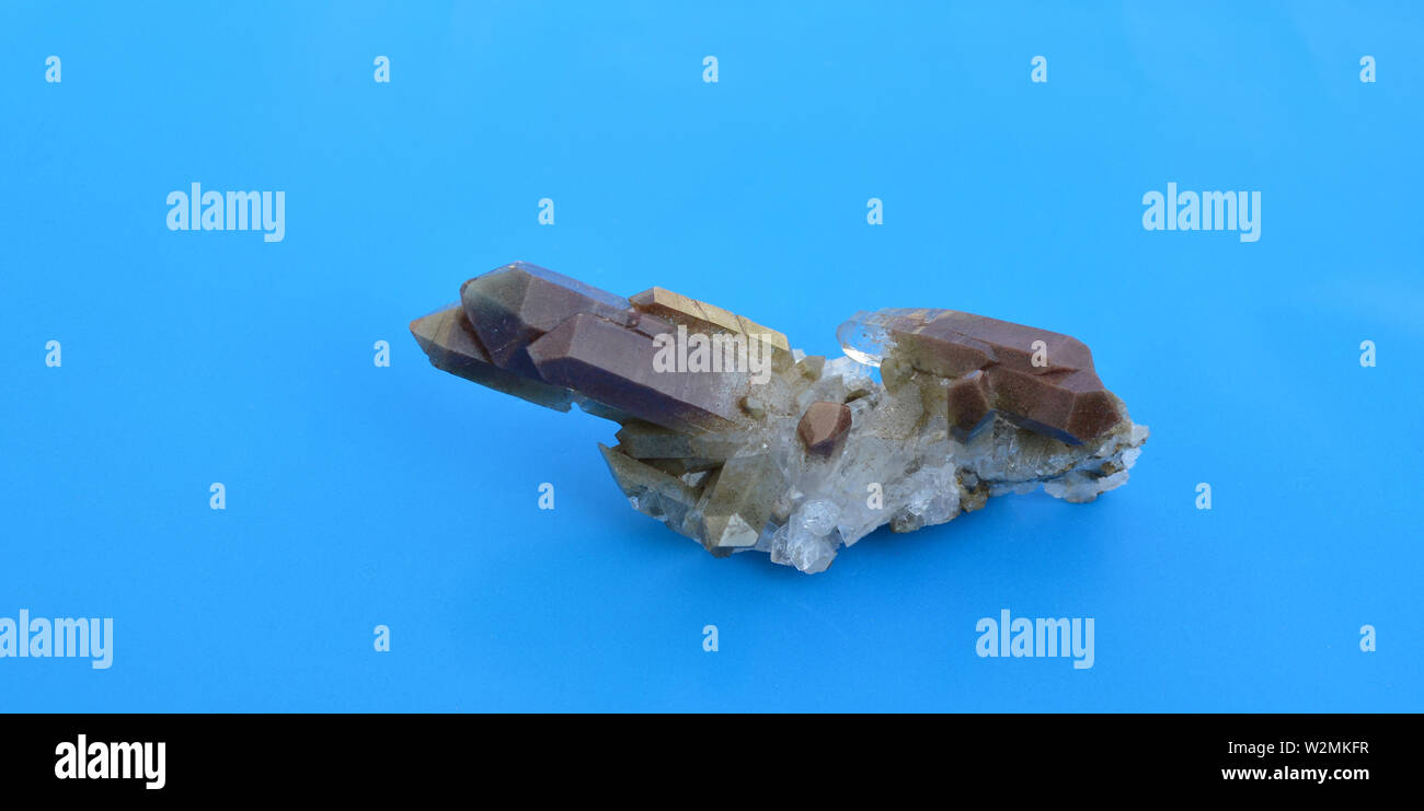 Chlorit Quarz Cluster beendet Kristalle auf blauem Hintergrund, Herkunft Pakistan. Stockfoto