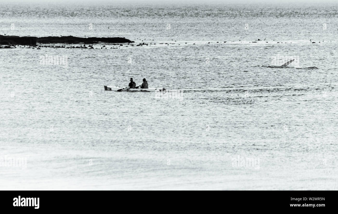 Kanufahrer beobachten ein Wal in Glencairn Bay, in der Nähe von Kapstadt, Südafrika auf der False Bay Küste in den Wintermonaten Stockfoto