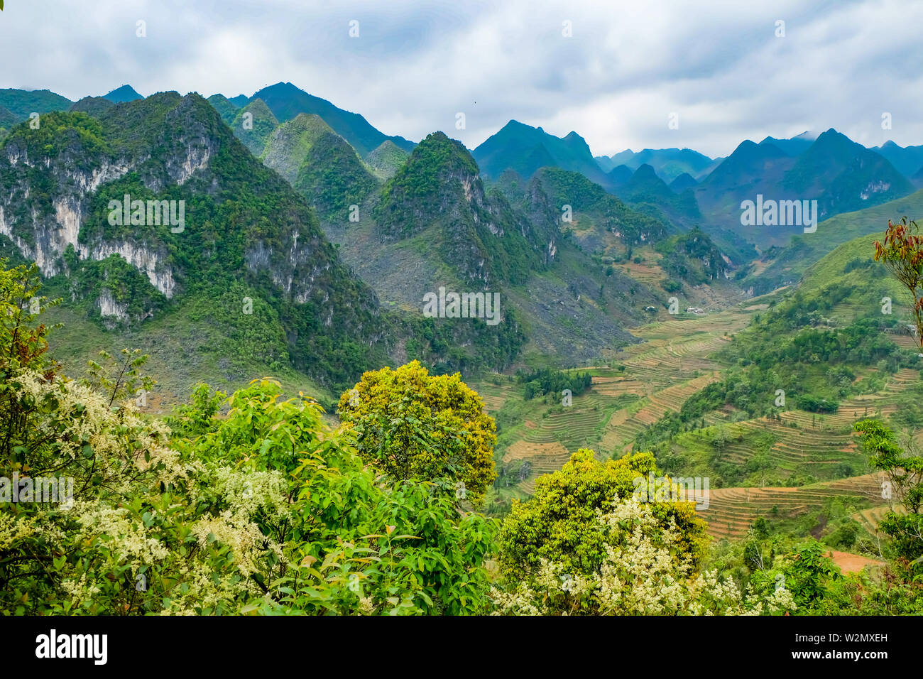 Robuste Kalkstein Hügel und Reisterrassen in der Dong Van Geopark, Vietnam Stockfoto