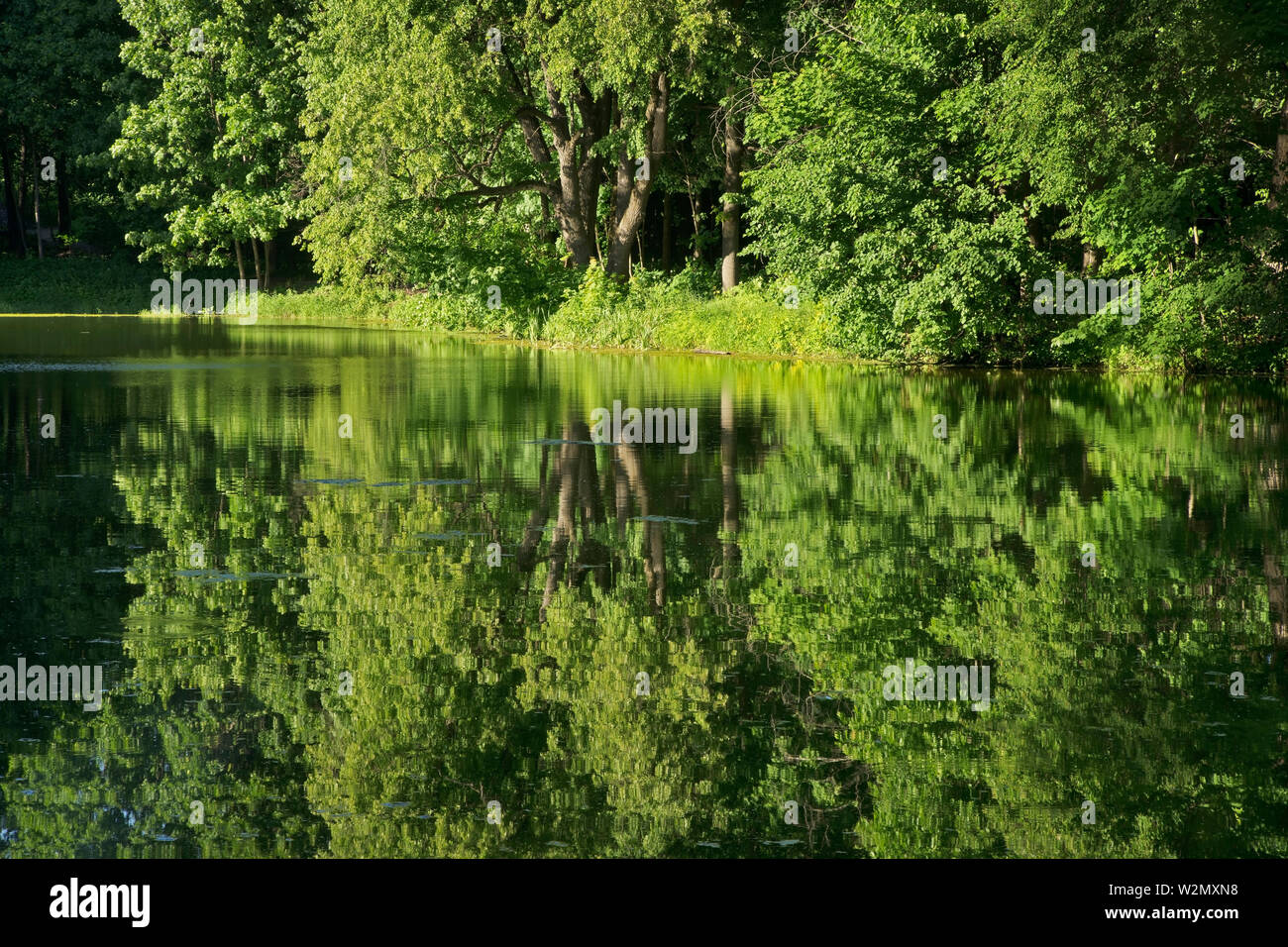 Park des Gehöfts von Vorontsov-Dashkov. Bykowo arbeit Siedlung. Ramensky Bezirk. Moskau. Russland Stockfoto