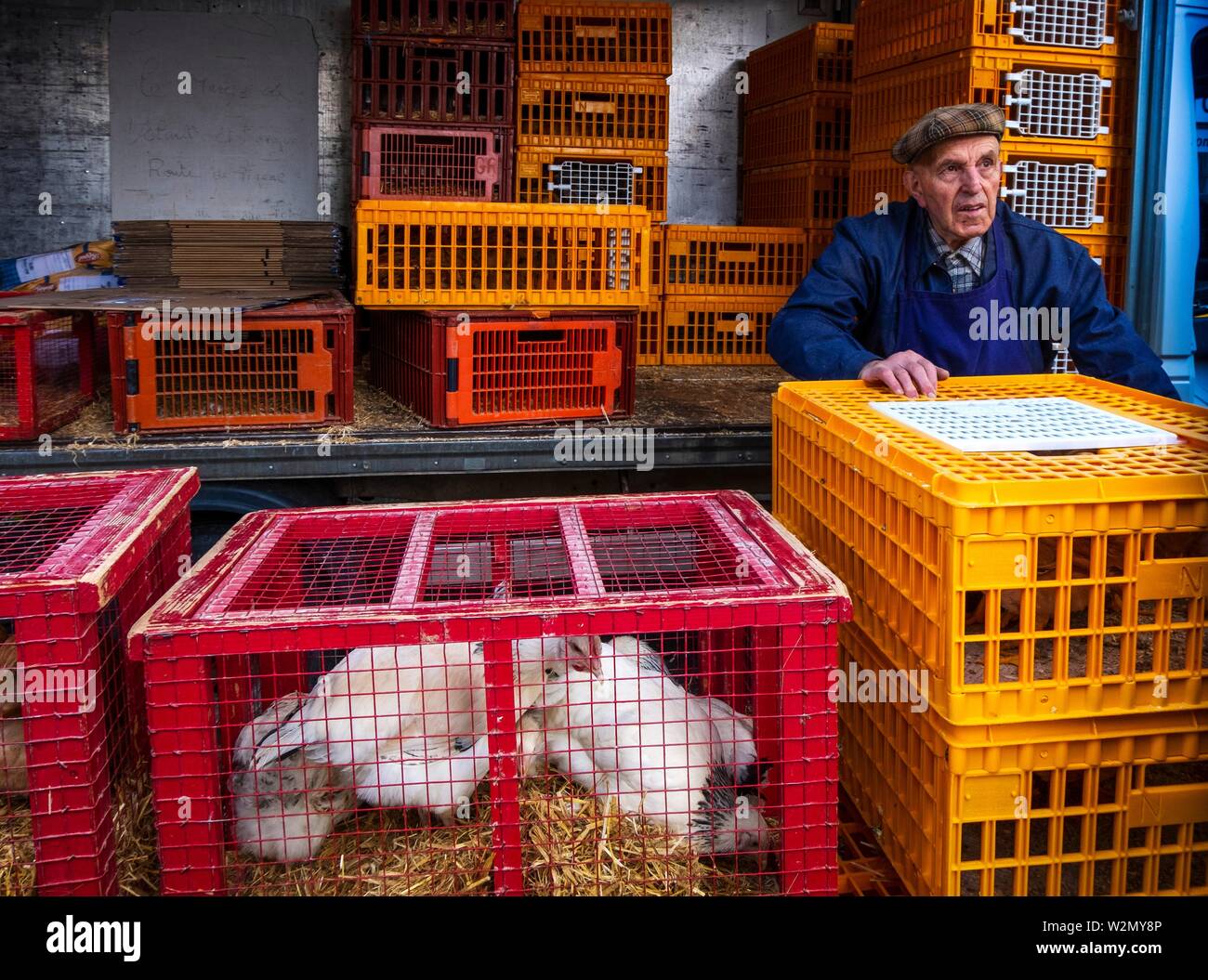 Frankreich, Auvergne, Cantal, verkaufen Hühner auf der Straße Markt in Maurs. Stockfoto