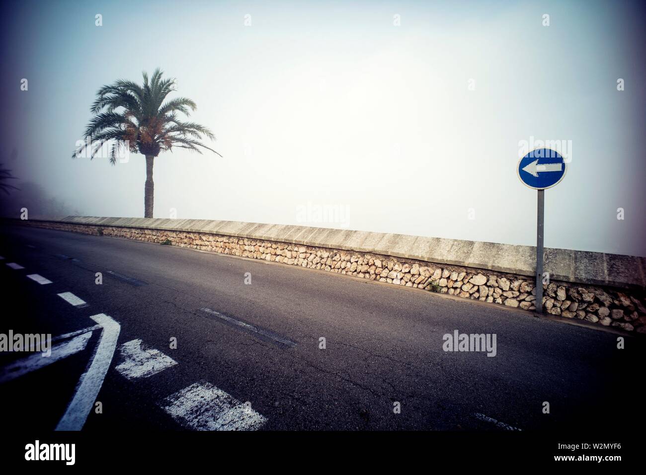 Straße mit einer Palme und einem einzigartigen Verkehr Richtung Mahon Menorca, Balearen, Spanien, Europa. Stockfoto
