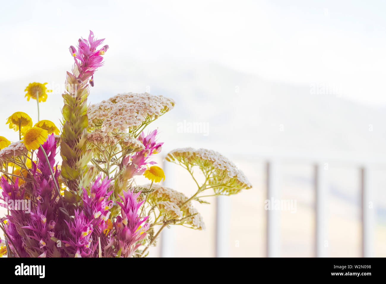 Blumenstrauß aus bunten Blumen, Blumen Hintergrund Stockfoto
