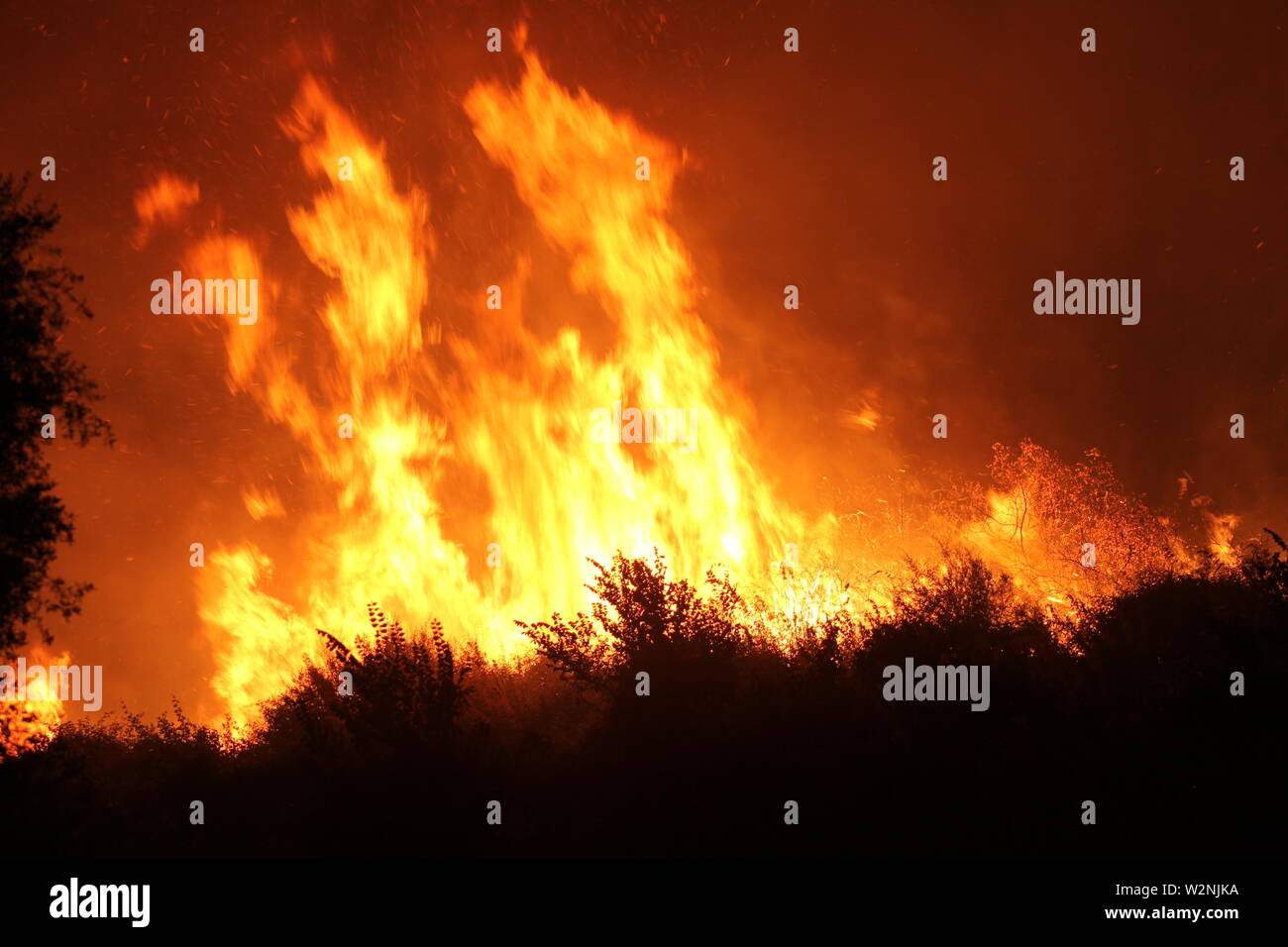 Auf dem Foto die Feuer, die Montelepre Bereich während der Nacht durch ein riesiges Feuer, das die Bewohner der Gegend besorgt betroffen, die hohen Temperaturen in der Nacht zwischen 32 Grad und eine starke sirocco haben angeregt, die brandstifter zu streiken. (Alberto Lo Bianco/Fotogramma, Montelepre (PA) - 2019-07-10) p.s. La foto e 'utilizzabile nel rispetto del contesto in Cui e' Stata scattata, e senza intento diffamatorio del decoro delle Persone rappresentate Stockfoto
