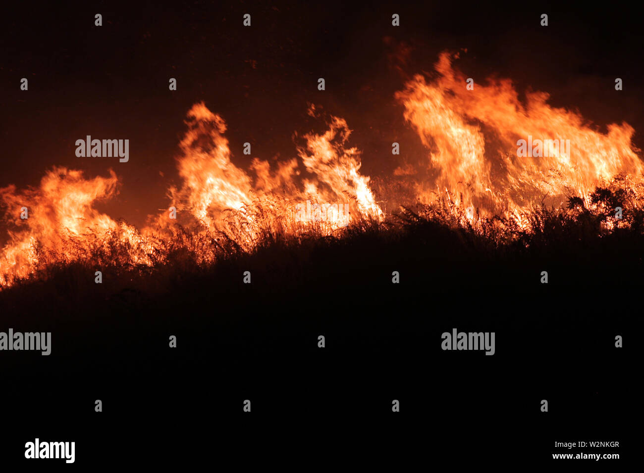 Auf dem Foto die Feuer, die Montelepre Bereich während der Nacht durch ein riesiges Feuer, das die Bewohner der Gegend besorgt betroffen, die hohen Temperaturen in der Nacht zwischen 32 Grad und eine starke sirocco haben angeregt, die brandstifter zu streiken. (Alberto Lo Bianco/Fotogramma, Montelepre (PA) - 2019-07-10) p.s. La foto e 'utilizzabile nel rispetto del contesto in Cui e' Stata scattata, e senza intento diffamatorio del decoro delle Persone rappresentate Stockfoto